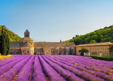 Abbey of Senanque, near Luberon