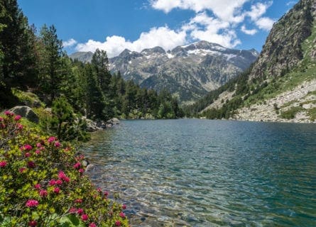Aigüestortes National Park