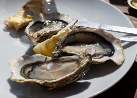 Fresh Arcachon Oysters
