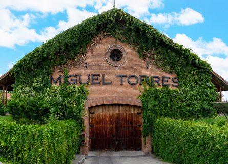 Founded in 1979, Viña Miguel Torres is a renowned winery located in the Curicó Valley Founded in 1979, Viña Miguel Torres is a renowned winery located in the Curicó Valley