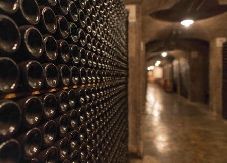 Ca Del Bosco cellar