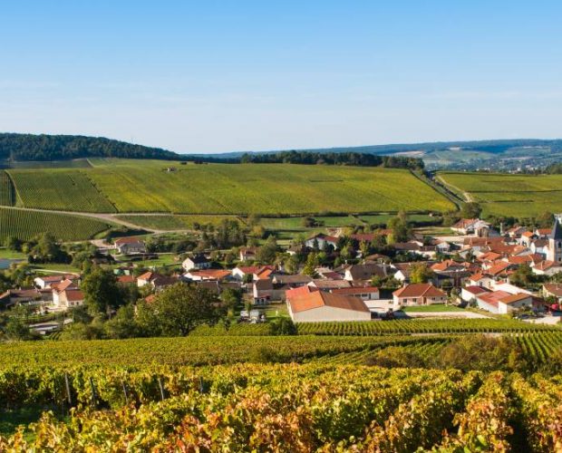 Luxury Private Champagne Wine Tour