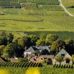 Champagne Wine Tour