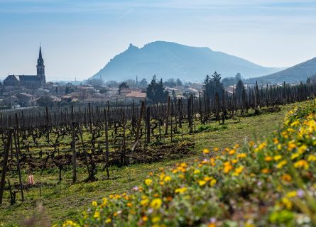The wine village of Cornas, surrounded by vineyards The wine village of Cornas, surrounded by vineyards