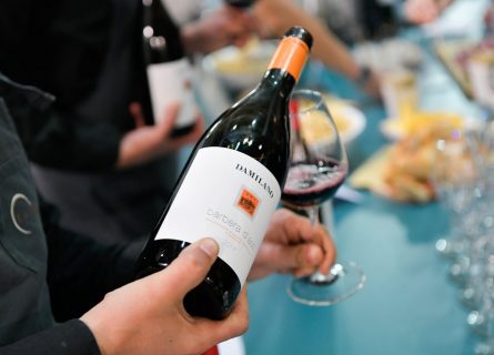 Damilano: Barbera d