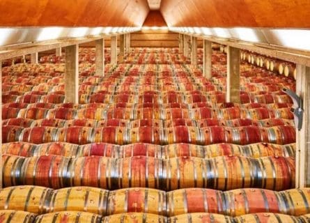 enate barrel room somontano - enate barrel room