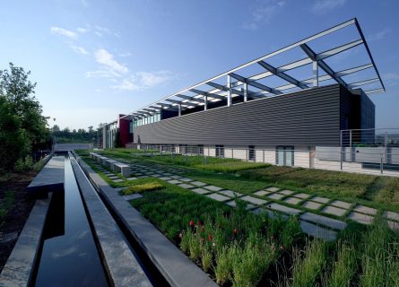Feudi di San Gregorio Contemporary Design Winery