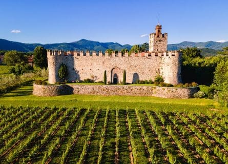 Vineyards of Franciacorta