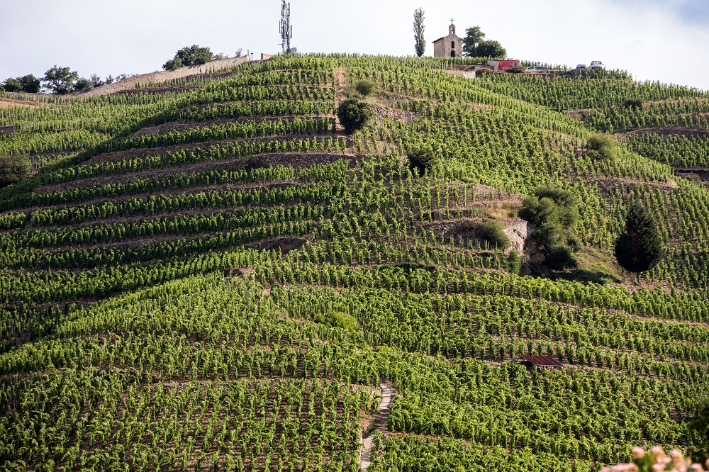 Hermitage wine region in Southern Rhone