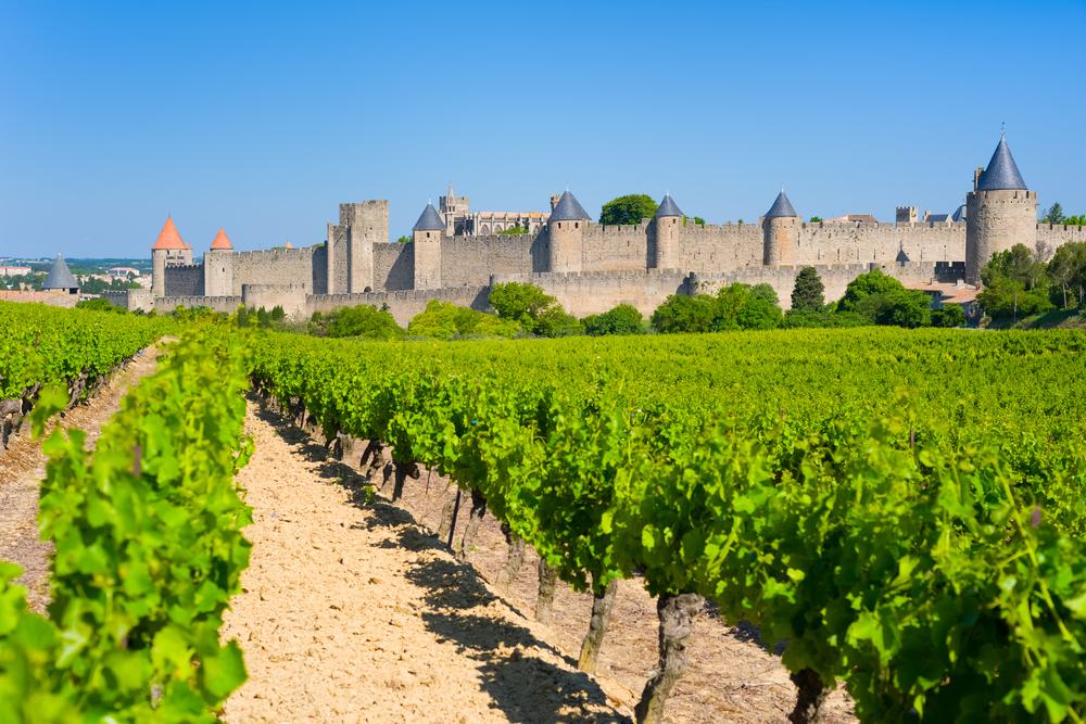 languedoc-red-grapes-of-region.jpg