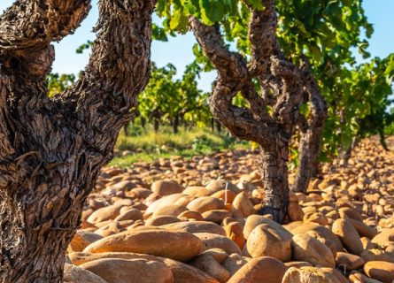 Galets Roules, heat-absorbing rocks Galets Roules, heat-absorbing rocks