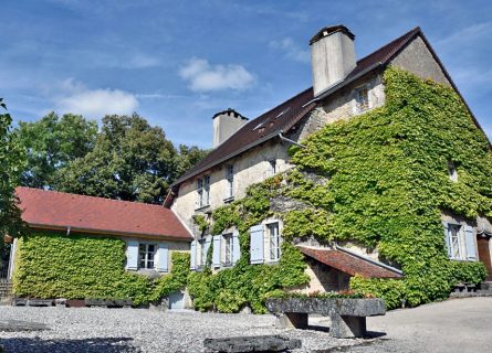 Maison Domaine Berthet Bondet: A renowned producer of vin Jaune Maison Domaine Berthet Bondet: A renowned producer of vin Jaune