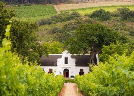 Paarl Wine Country