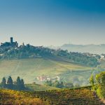 Piedmont Wine Tour