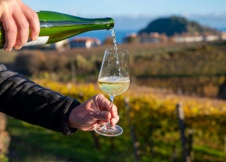 A refreshing glass of Txakoli A refreshing glass of Txakoli