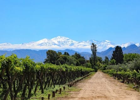 pyrenees snow capped somontano - pyrenees snow capped
