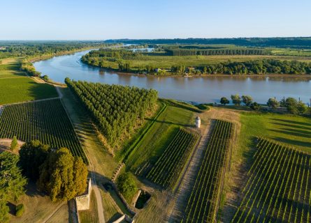 Vineyards of Entre-Deux-Mers alongside the river Gironde