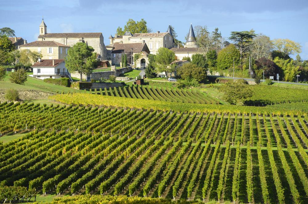 saint-emilion-vineyards
