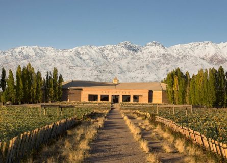 Salentein Winery