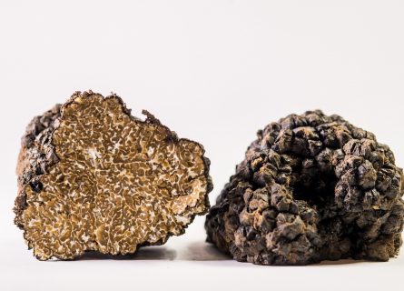 Savigno celebrates its annual International White Truffle Festival each autumn