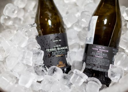 Torbato grape: Was rediscovered and revived by Sella e Mosca