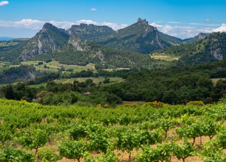 The scenic vineyards of Vaucluse in the Côtes du Rhône The scenic vineyards of Vaucluse in the Côtes du Rhône