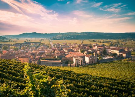 Village of Soave surrounded vineyards