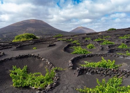 Lanzarote Lanzarote