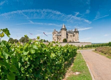 Scenic Vineyards in Saumur