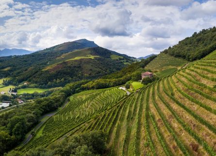 The steep terraced vineyards of Irouleguy The steep terraced vineyards of Irouleguy