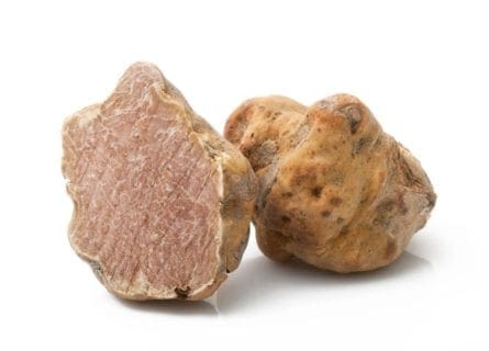 A Taste of Rimini Cuisine
