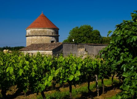 Historic Wine storehouse tower in Entre Deux Mers